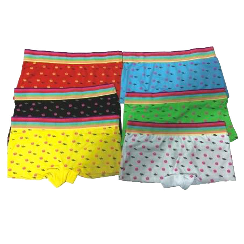 Wholesale Women's Clothing Apparel Assorted Underwear M,L,XL Marlee NQ19
