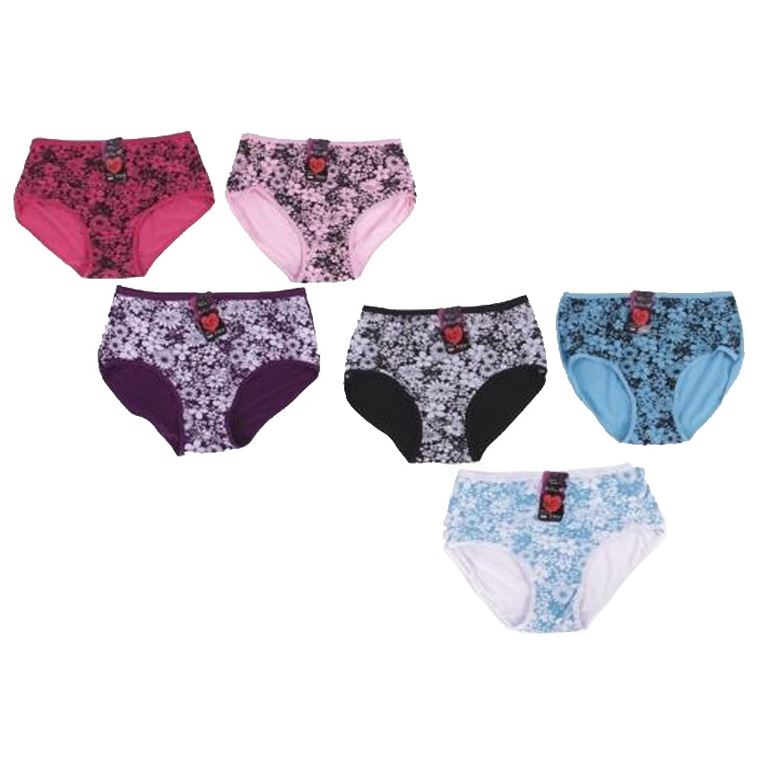 Wholesale Women's Clothing Apparel Assorted Mommy Underwear L,XL,XXL Myra NQ13
