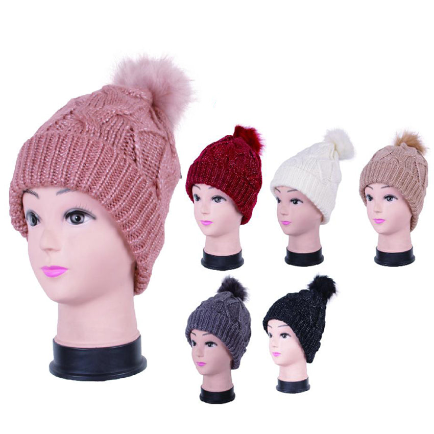 Wholesale Clothing Accessories Ladies Winter Hat Assorted NQ84