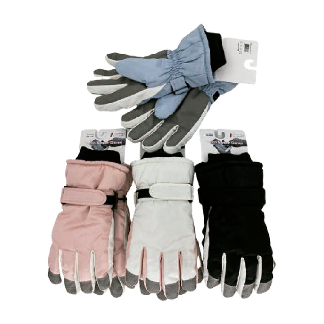 Wholesale Clothing Accessories Lady Ski Glove Women's Gloves Nh270