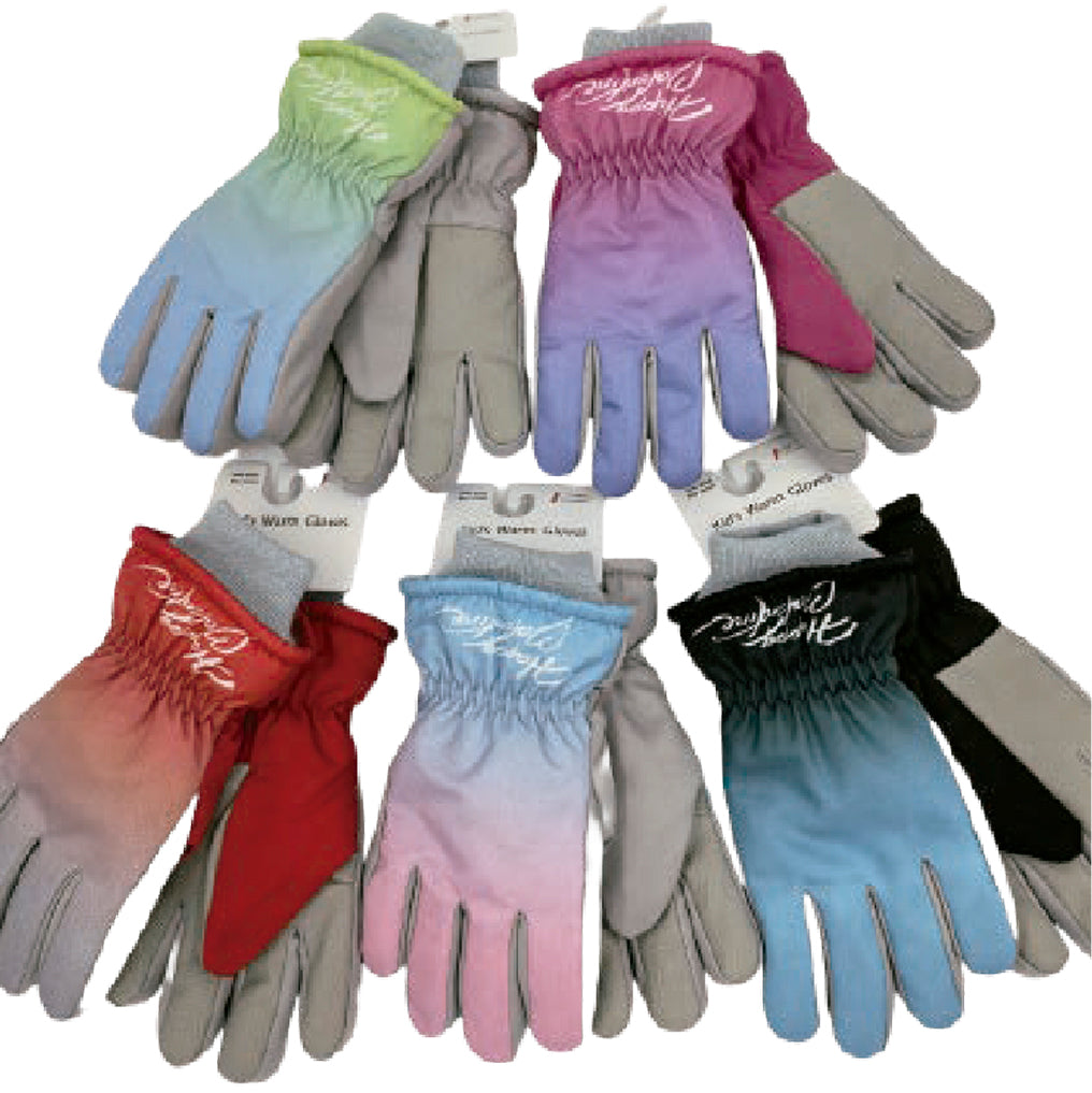 Wholesale Clothing Accessories Ombre Glove Gradient Girls’ Ski Gloves Nh272