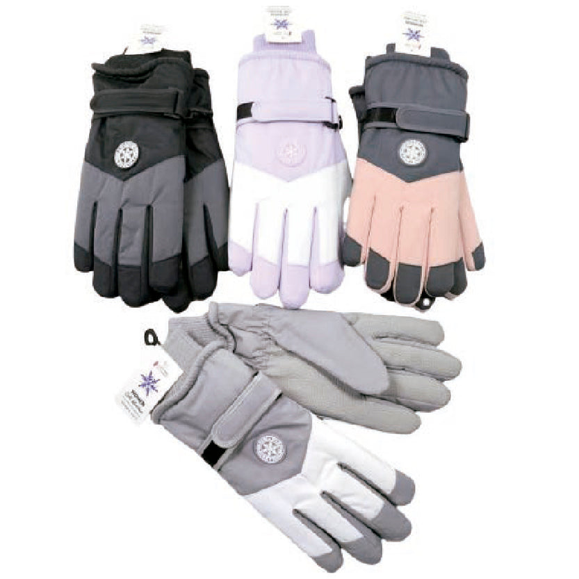 Wholesale Clothing Accessories Lady Ski Glove Women's Gloves Nh253
