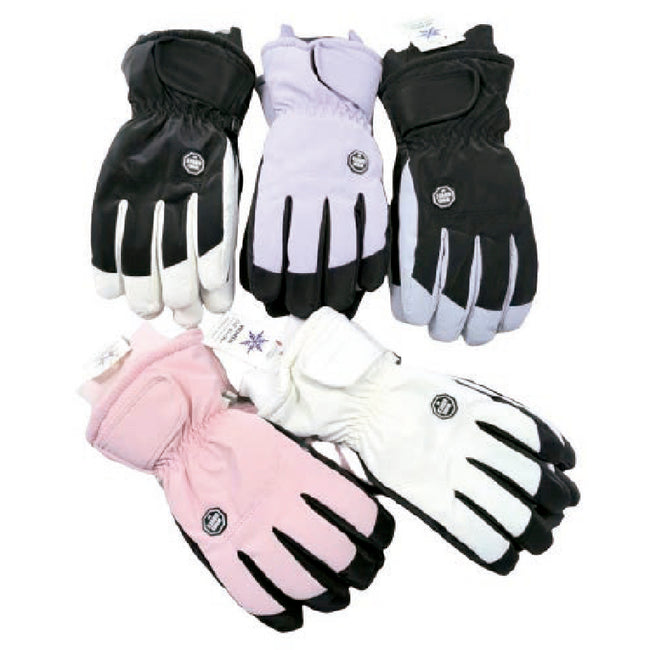 Wholesale Clothing Accessories Lady Ski Glove Women's Gloves Nh266