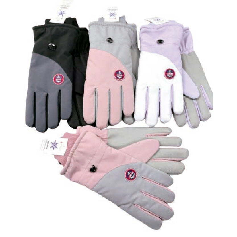 Wholesale Clothing Accessories Lady Ski Touch Glove Women's Gloves Nh267